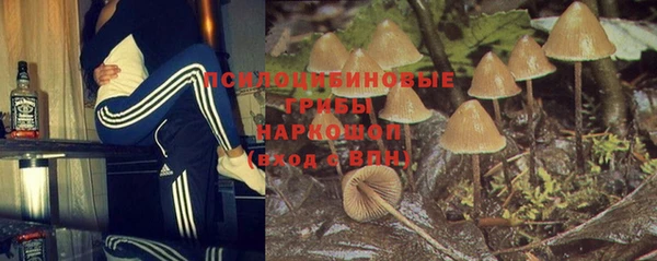 мдпв Балабаново