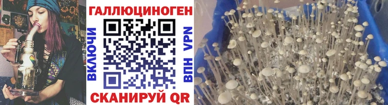 KRAKEN   Белинский  Галлюциногенные грибы Magic Shrooms 
